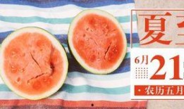 qq免费吃瓜公众号,免费吃瓜，QQ公众号带你畅享娱乐盛宴！